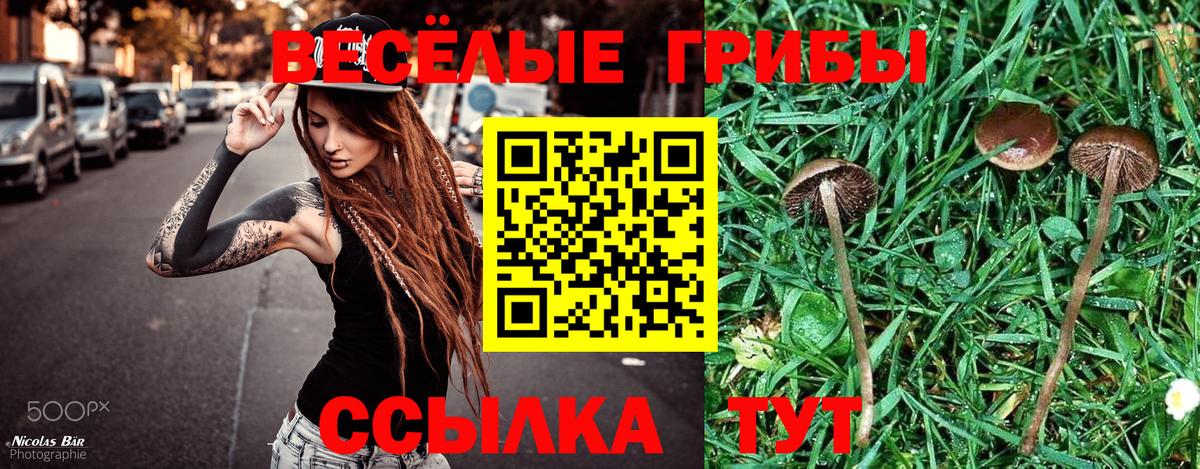 Псилоцибиновые грибы Psilocybe Асбест