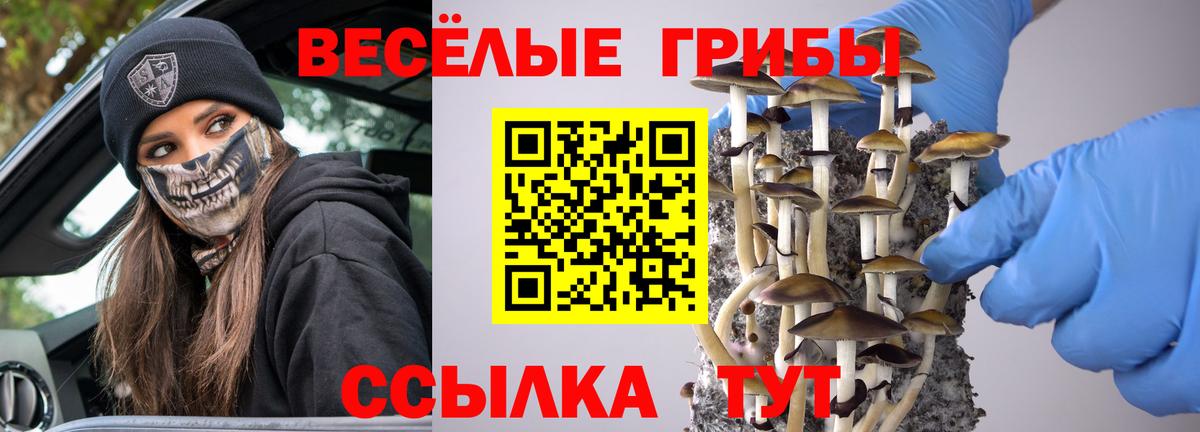 Асбест  Галлюциногенные грибы Cubensis  где купить наркоту  Вход с VPN 